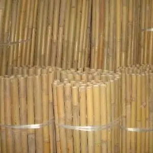 Bamboo -גדר במבוק מושחל  30/35ממ