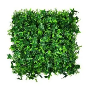 גינה טרופית HOLLY037     50/50 ס"מ