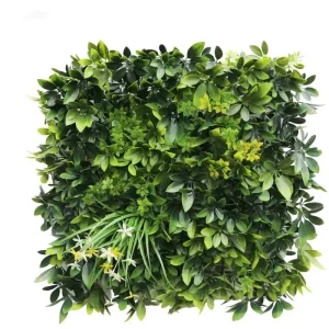 חיוך נרקיס HOLLY153     100/100 ס"מ
