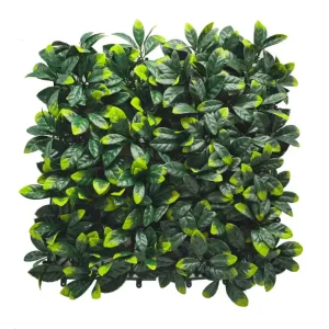 דפנה HOLLY034