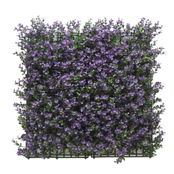 בוקסוס סגול HOLLY011      50/50 ס"מ
