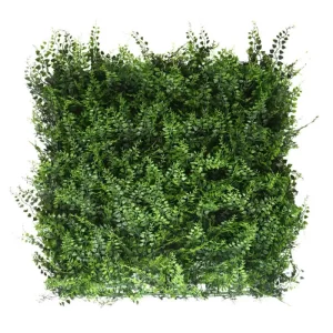 שיזף ירוק HOLLY006       50/50 ס"מ