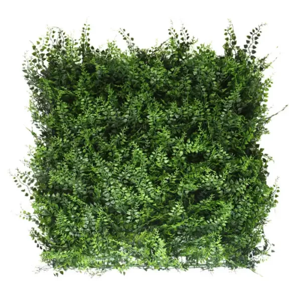 שיזף ירוק HOLLY006       50/50 ס"מ