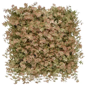 ג’ינוסטמה HOLLY096     50/50 ס"מ