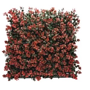 פצ'סנדרה אדומה HOLLY027