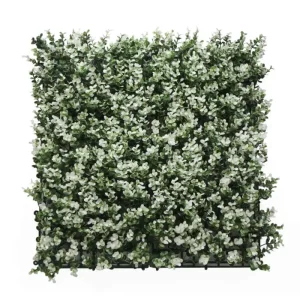 בוקסוס לבן HOLLY014     50/50 ס"מ