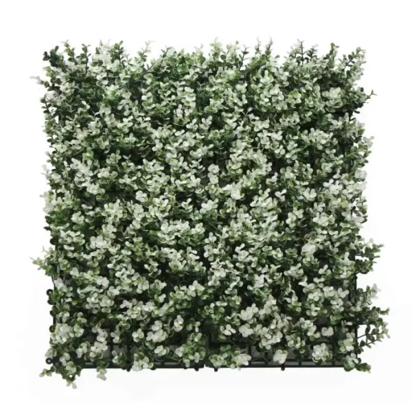 בוקסוס לבן HOLLY014     50/50 ס"מ