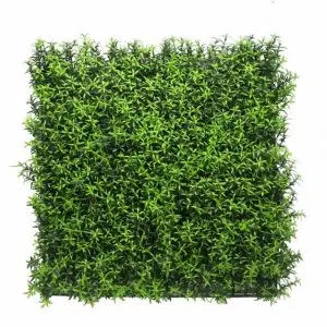 קוקטיל רוזמרין HOLLY099          50/50 ס"מ