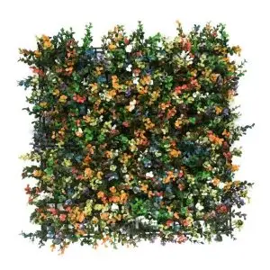 בוקסוס צבעוני HOLLY190      50/50 ס"מ