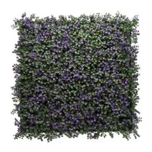 כוכבים סגולים HOLLY176     50/50 ס"מ