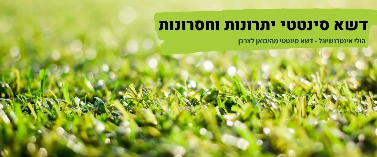 דשא סינטטי יתרונות וחסרונות | הולי אינטרנשיונל
