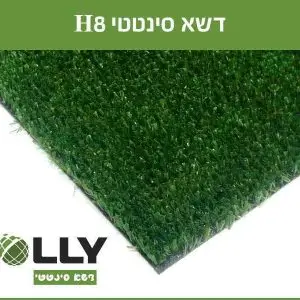 דשא סינטטי H8 - הולי אינטרנשיונל