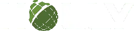הולי אינטרנשיונל