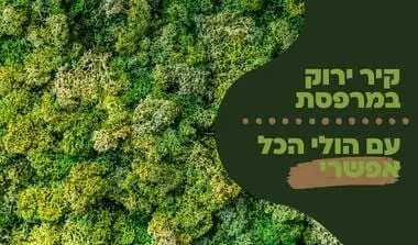 קיר ירוק במרפסת | הולי אינטרנשיונל