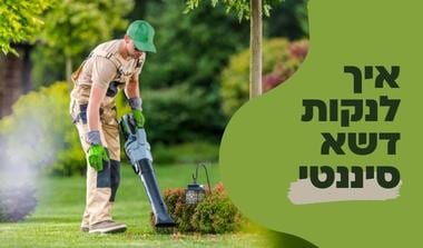איך לנקות דשא סינטטי | הולי אינטרנשיונל