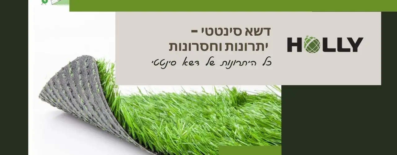 דשא סינטטי יתרונות וחסרונות | הולי