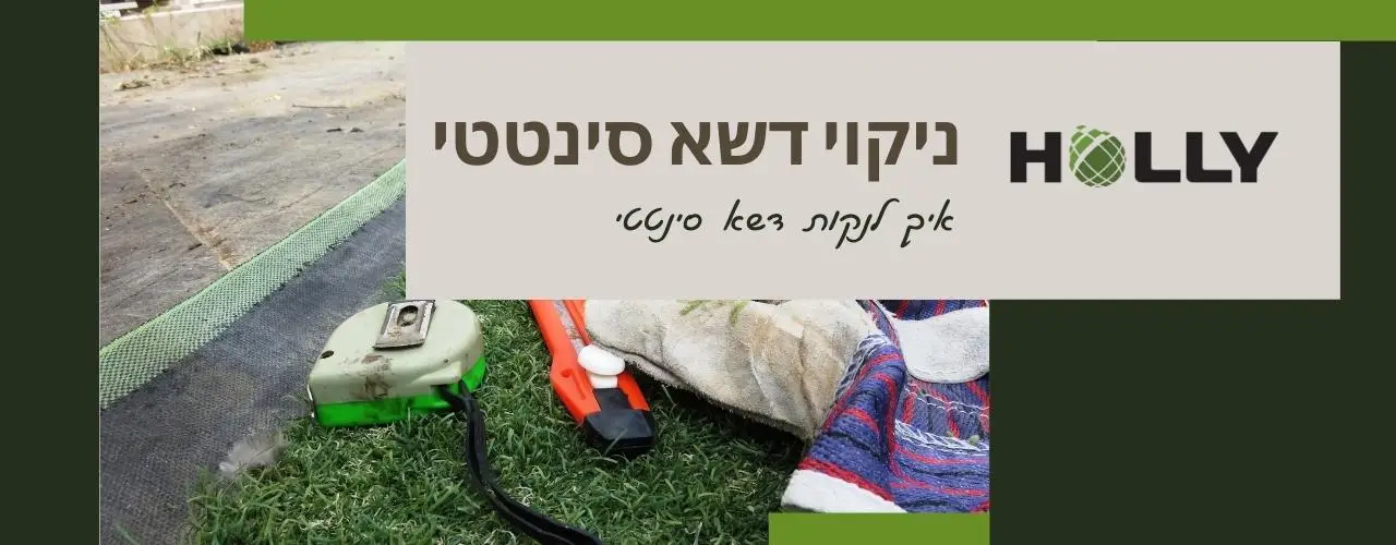 ניקוי דשא סינטטי - איך לנקות דשא סינטטי | הולי