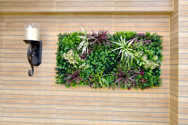 קיר ירוק מלאכותי הולי אינטרנשיונל דשא סיננטי ומוצרים לגינה