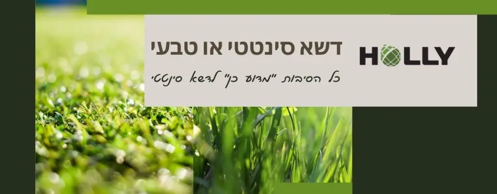 דשא סינטטי או טבעי | הבלוג של הולי אינטרנשיונל