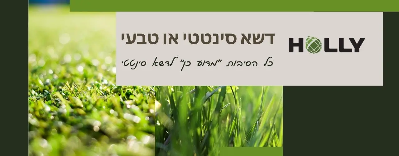 דשא סינטטי או טבעי | הבלוג של הולי אינטרנשיונל