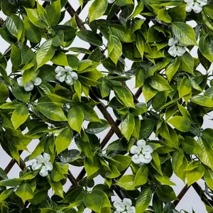 CCGP024 דגם סאקורה פרחים לבנים - קיר ירוק מלאכותי | הולי דשא סינטטי