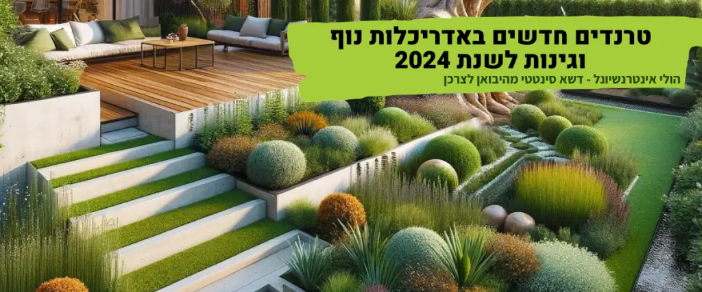 טרנדים חדשים באדריכלות נוף וגינות לשנת 2024 הולי אינטרנשיונל דשא סינטטי