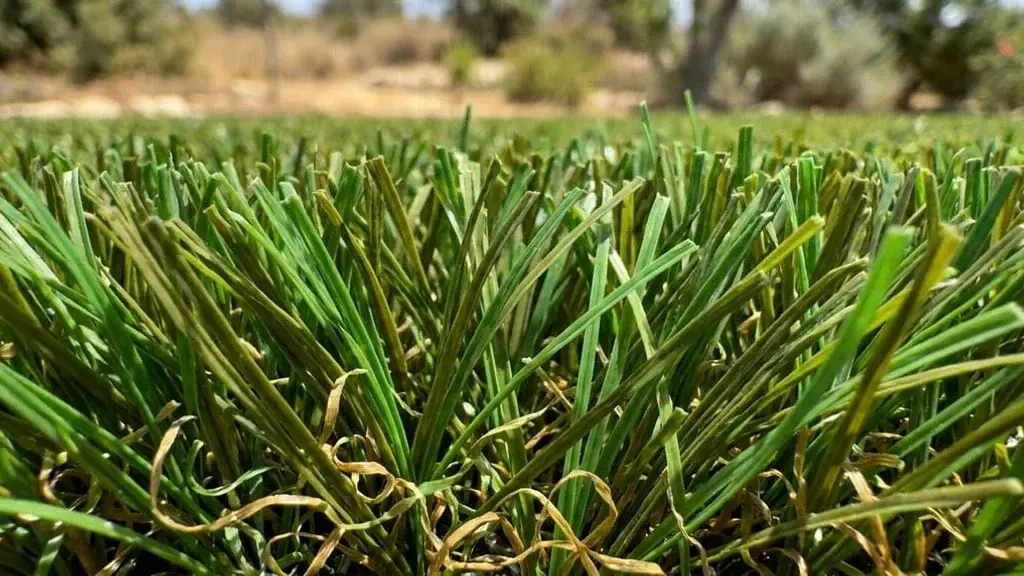 סיבי דשא סינטטי איכותי של הולי אינטרנשיונל עמידים לשמש